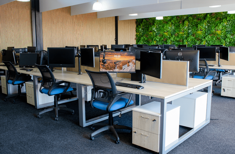 Modern office with rows of computer desks, ergonomic chairs, and a green wall.