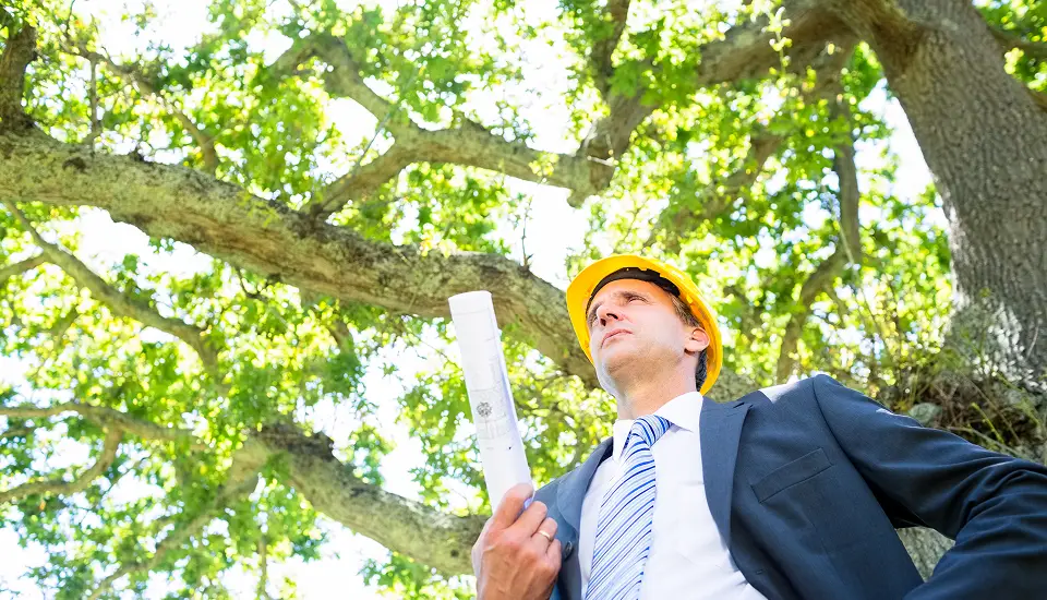 Future-Proofing Green Building Projects with Offshore Talent